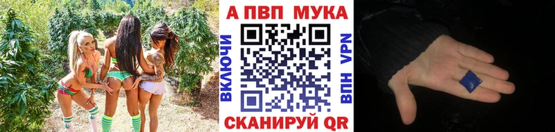 Купить закладки  Арамиль  Alfa_PVP Соль 