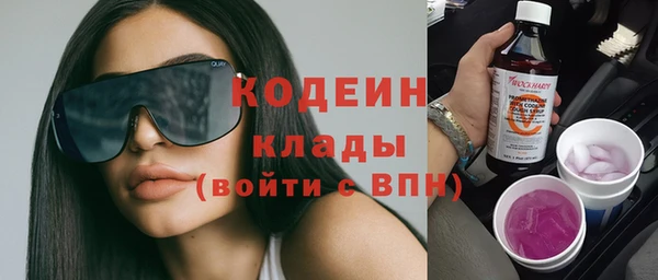 твердый Козельск