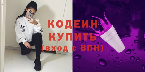 твердый Козельск