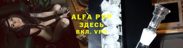 твердый Козельск