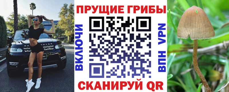 Псилоцибиновые грибы GOLDEN TEACHER  Купить закладки  Арамиль 