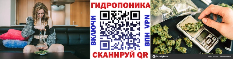Купить  Арамиль  Каннабис конопля 